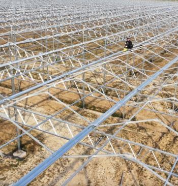 西平五溝營加速擴建農業大棚