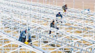 農(nóng)業(yè)大棚 加速擴(kuò)建