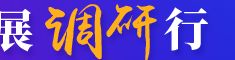 产业发展调研行