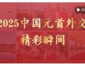 視頻畫報｜2025中國元首外交精彩瞬間