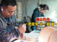 確山竹溝：一把提琴，興一業(yè)，富一鄉(xiāng)