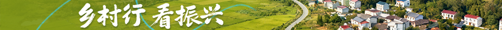 鄉(xiāng)村行 看振興