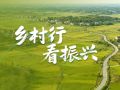 乡村行 看振兴