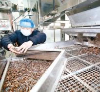 智能設備加速轉 瓜子飄香產業(yè)園