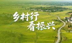 乡村行 看振兴