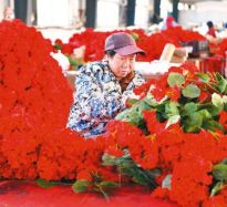 仿真花鋪就富民增收路