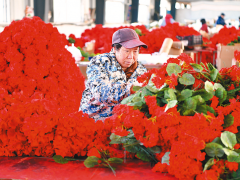 一束仿真花闖出國(guó)際市場(chǎng)，小車間織出千萬(wàn)產(chǎn)值路