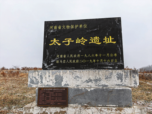 太白堂村：太子嶺遺址鐫刻文明印記  