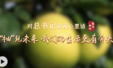 對總書記說說心里話丨“柚”見未來 我們的生活更有奔頭