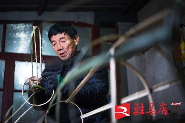 微信图片_20260130092657_6615_12