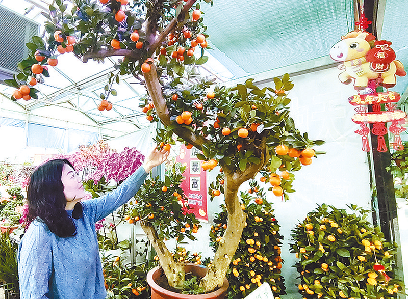 花市兴旺年味浓
