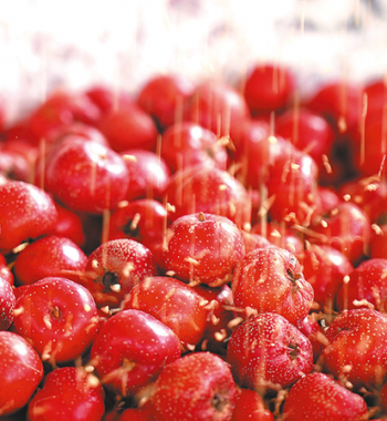 紅果穿成瑪瑙串糖衣裹住兒時(shí)甜