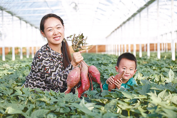 ba0f349f294590e04bf011ac7e130ff8_img_43_1247_297_198