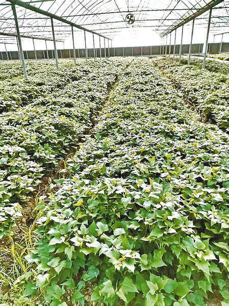 ba0f349f294590e04bf011ac7e130ff8_img_367_1260_287_233