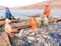 又是一年捕捞季