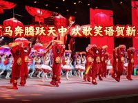 驻马店市2026年春节联欢会精彩上演