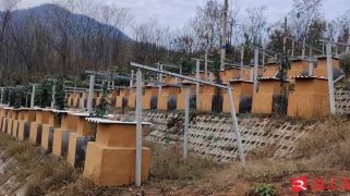 三代傳承 共筑甜蜜事業(yè)