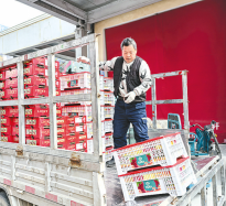 年貨采購熱 水果副食俏