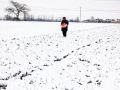 新春走基层丨除夕万家团圆时 农民踏雪在田间撒化肥 最朴素的坚守 最动人的年景