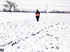 新春走基層丨除夕萬家團(tuán)圓時 農(nóng)民踏雪在田間撒化肥 最樸素的堅(jiān)守 最動人的年景