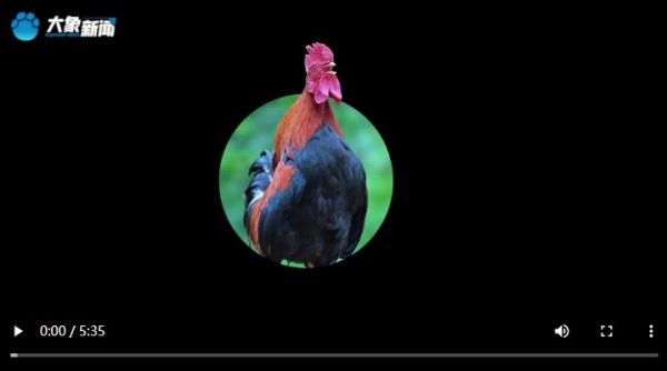 360截图20260224103446527