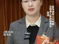 聚焦两会｜专访驻马店市人大代表、正阳县人民政府县长张燕：锚定目标勇担当  实干笃行建新功