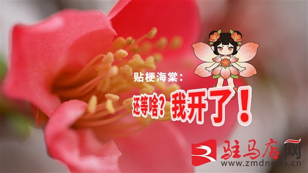 微信图片_20260305143430_8769_12