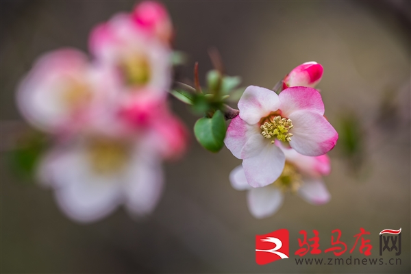 微信图片_20260305143447_8772_12