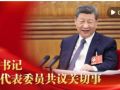 微视频｜总书记和代表委员共议关切事