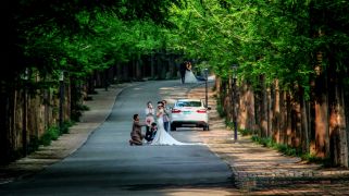 ?春日盛景迎佳節(jié) 駐馬店市多家景區(qū)推出“三八”婦女節(jié)優(yōu)惠活動