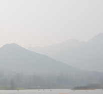 碧水藍(lán)天護飛鳥 志愿行動美家園