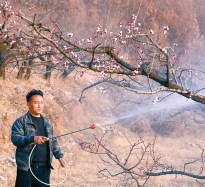 果園管護(hù)正當(dāng)時(shí)