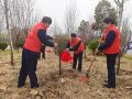 植树造林添新景 护路为民筑坦途   