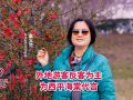 外地游客反客为主为西平海棠代言