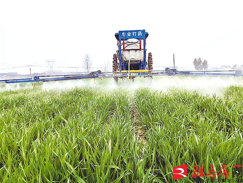 搶抓農(nóng)時春管忙