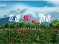 时政微纪录｜幸福新语——总书记称赞的美丽产业