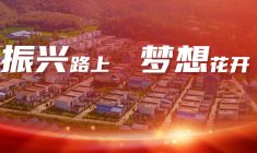 振兴路上 梦想花开