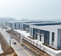 培育特色产业 绘就振兴画卷