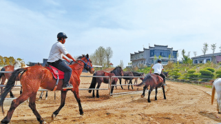 青春作伴馬蹄疾