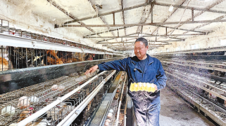 非遺纏絲雞蛋 俏銷一線城市