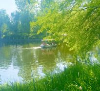 春日泛舟 樂享周末