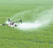 加強麥田管理 確保夏糧豐收