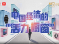 中國(guó)經(jīng)濟(jì)的“活力櫥窗”｜喻見(jiàn)中國(guó)經(jīng)濟(jì)
