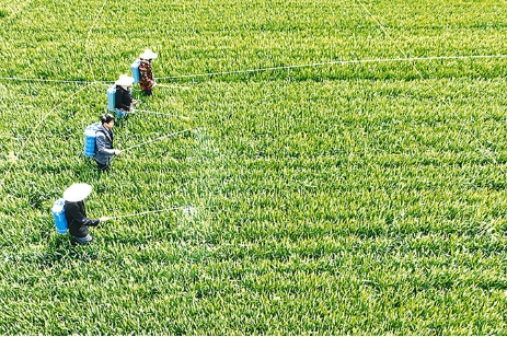 科技助农兴产业 校社携手护良田