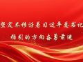 坚定不移沿着习近平总书记指引的方向奋勇前进