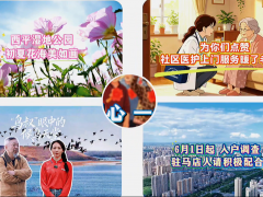 一条路连着民心，一条渠连着收成丨《今日驻马店》资讯第269期发布