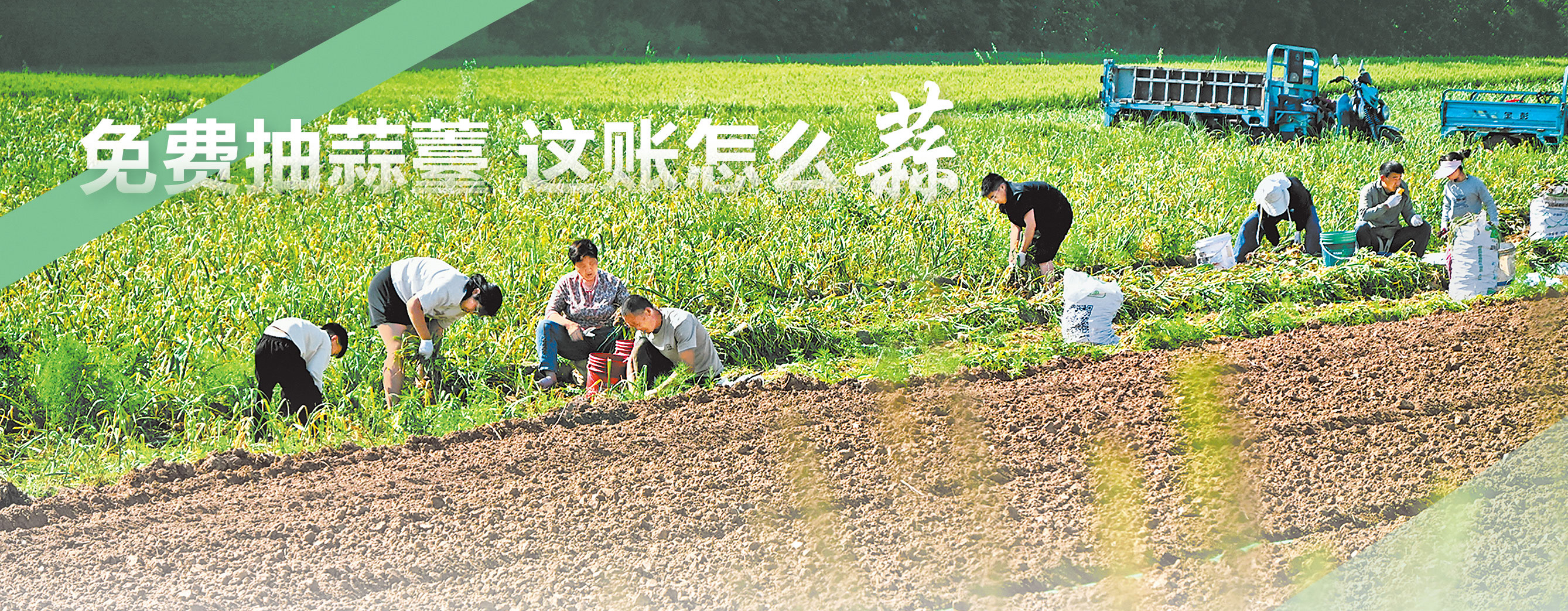 微信图片_20260521072411_28_2671.jpg