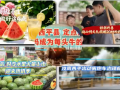 西平县：定点屠宰 二维码成为每头牛的“身份证”《今日驻马店》资讯第271期发布