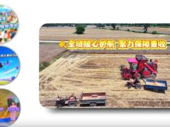 全域暖心护航 聚力保障麦收丨《今日驻马店》资讯第278期发布