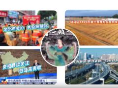 驻马店1190万亩小麦开始大面积收获 丨《今日驻马店》资讯第276期发布